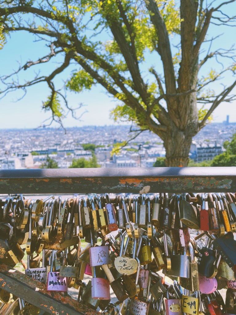 View from the steps near the Sacré-Cœur