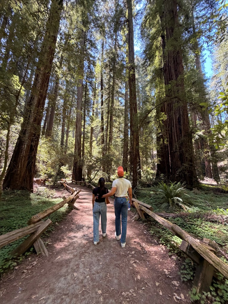Armstrong Redwoods State Natural Reserve