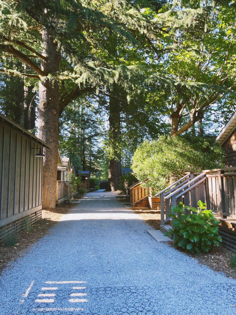the grounds of Dawn Ranch in Guerneville CA