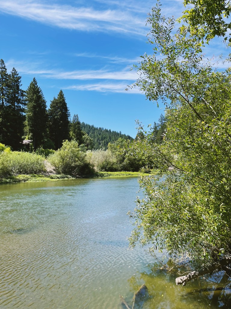Russian River Views from Dawn Ranch in Guerneville CA
