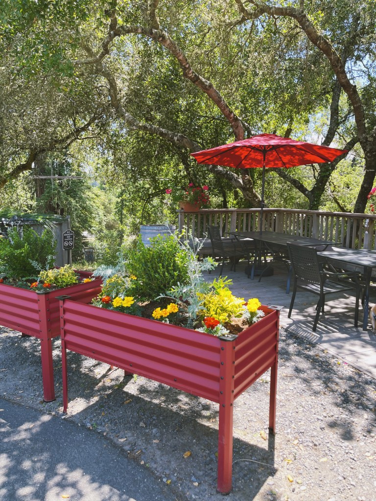 wine tasting on the patio at Moshin Vineyards in Healdsburg, CA