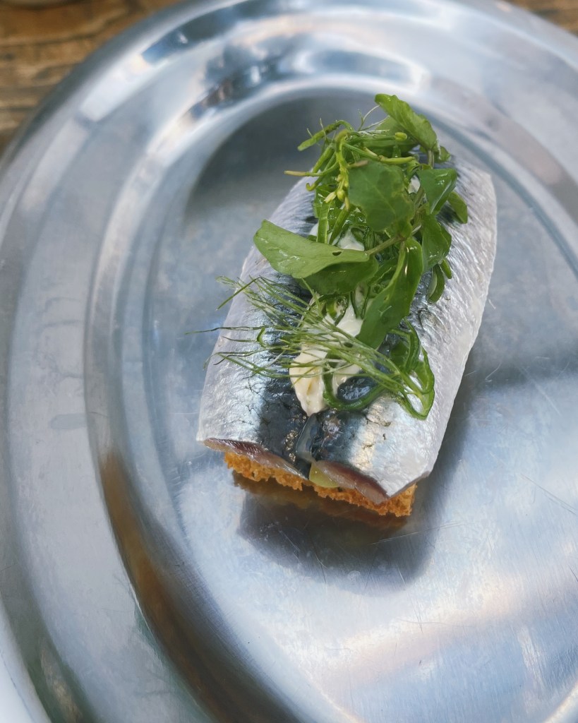 Sardines at Insaciável Wine Bar in Lisbon, Portugal